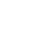 演奏
